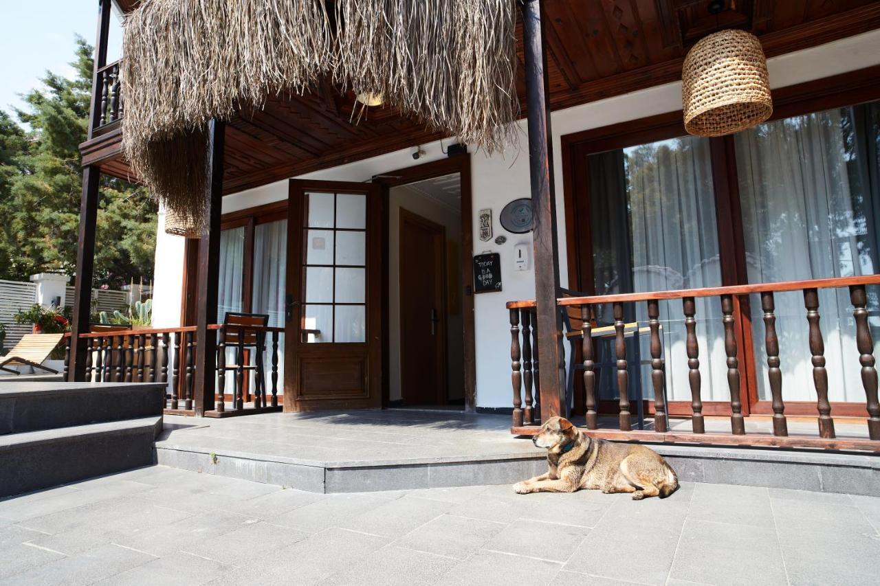 No 22 Riders' Inn Akyaka  Exteriér fotografie